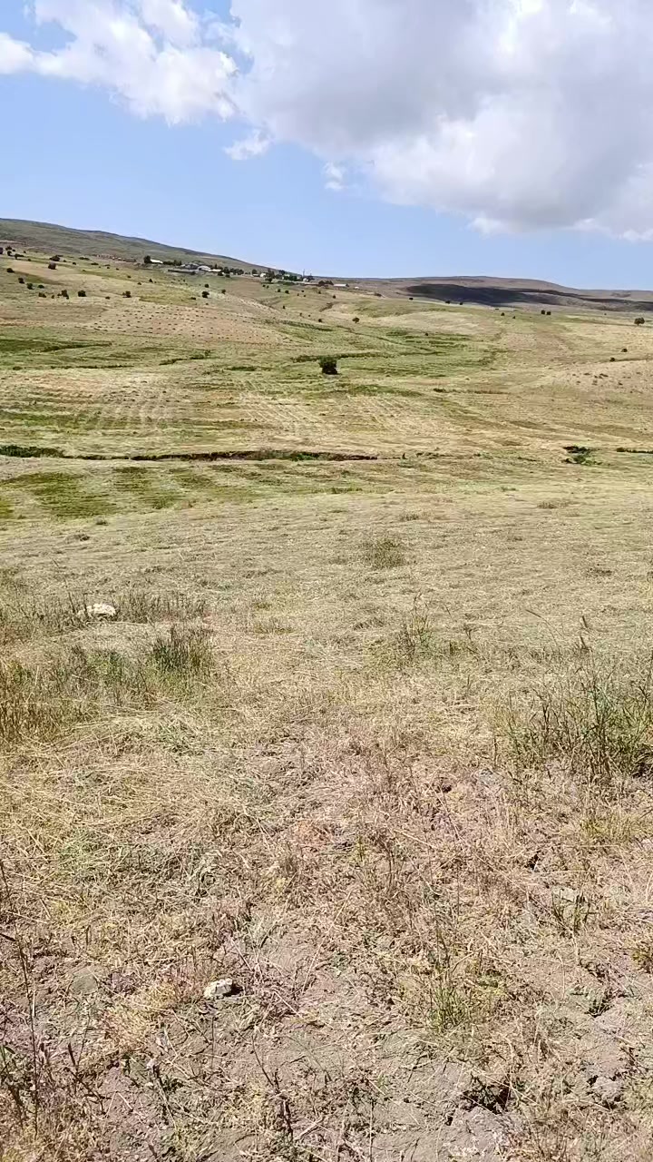 @&ouml;zg&uuml;r2121