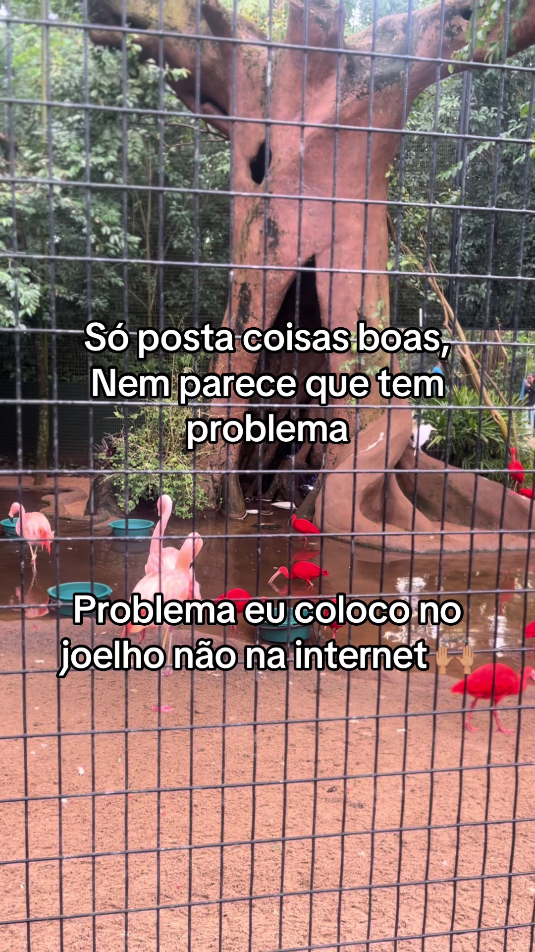 @Denise Queiroz