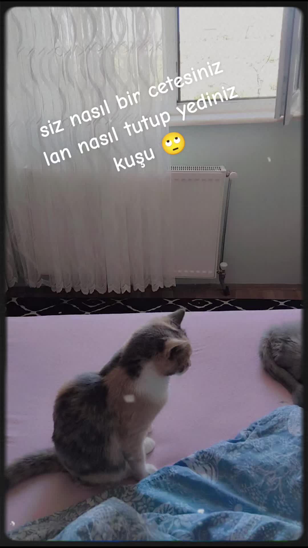 @TUĞBA SAYIN