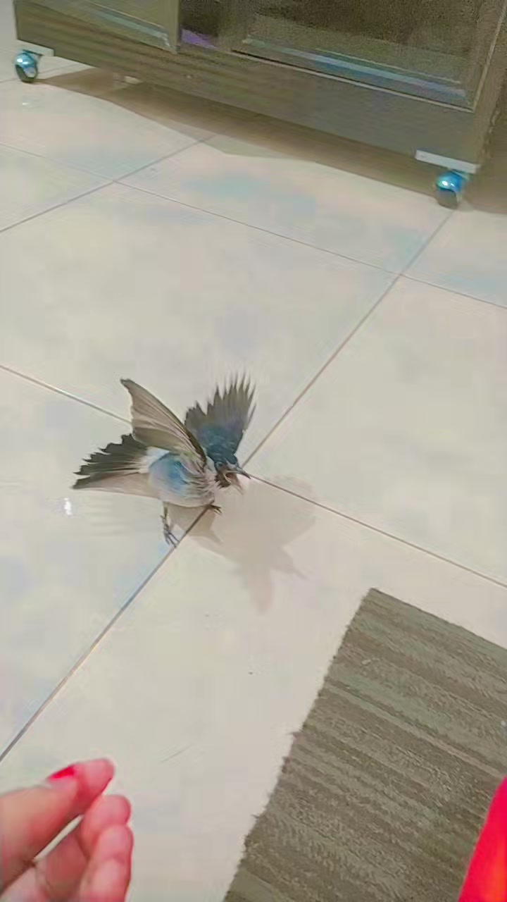 @Dewi Aurora Khan