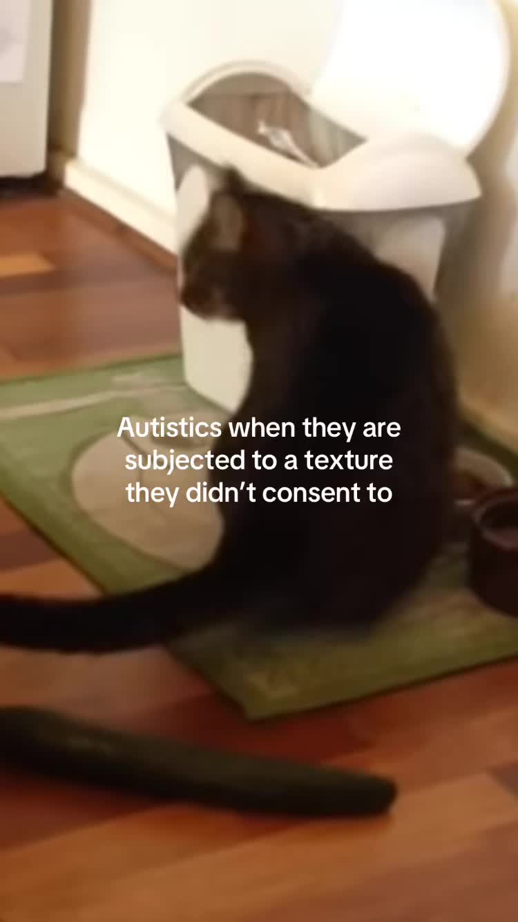 @〽️ina 🧿🕷️