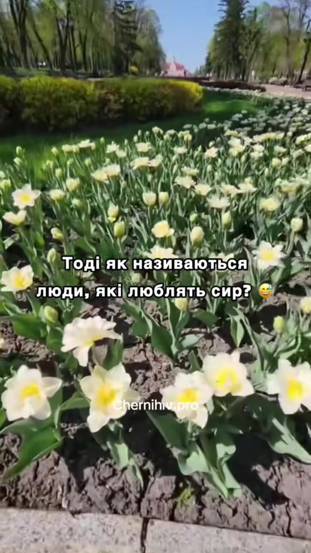 @ЧЕРНІГІВ ТІКТОК ПРО