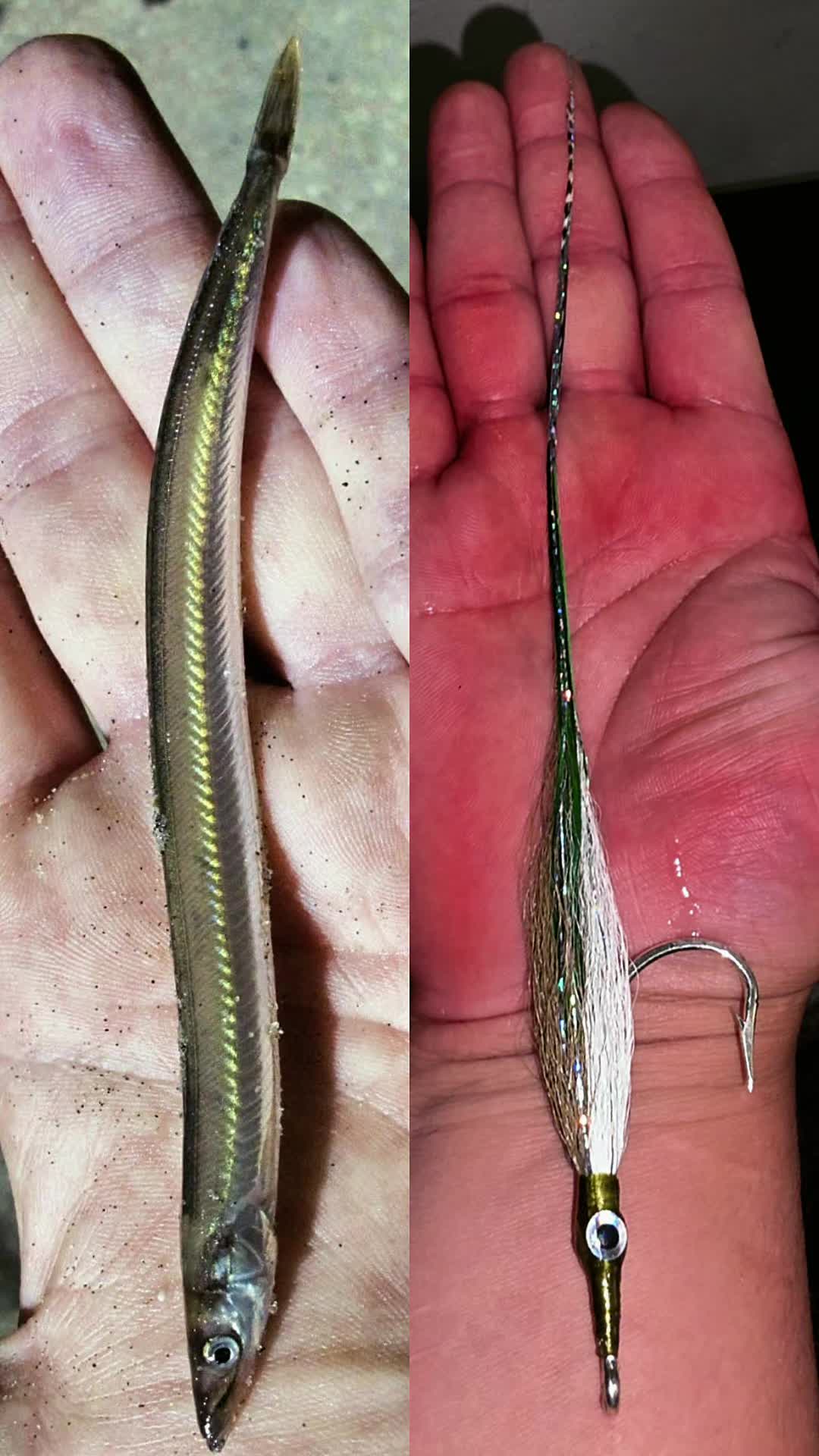 @Pescador🎣🦈