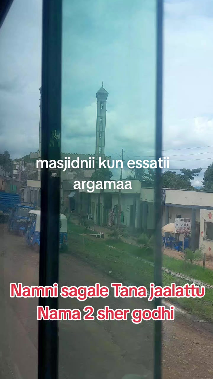 @Abdussea tagin