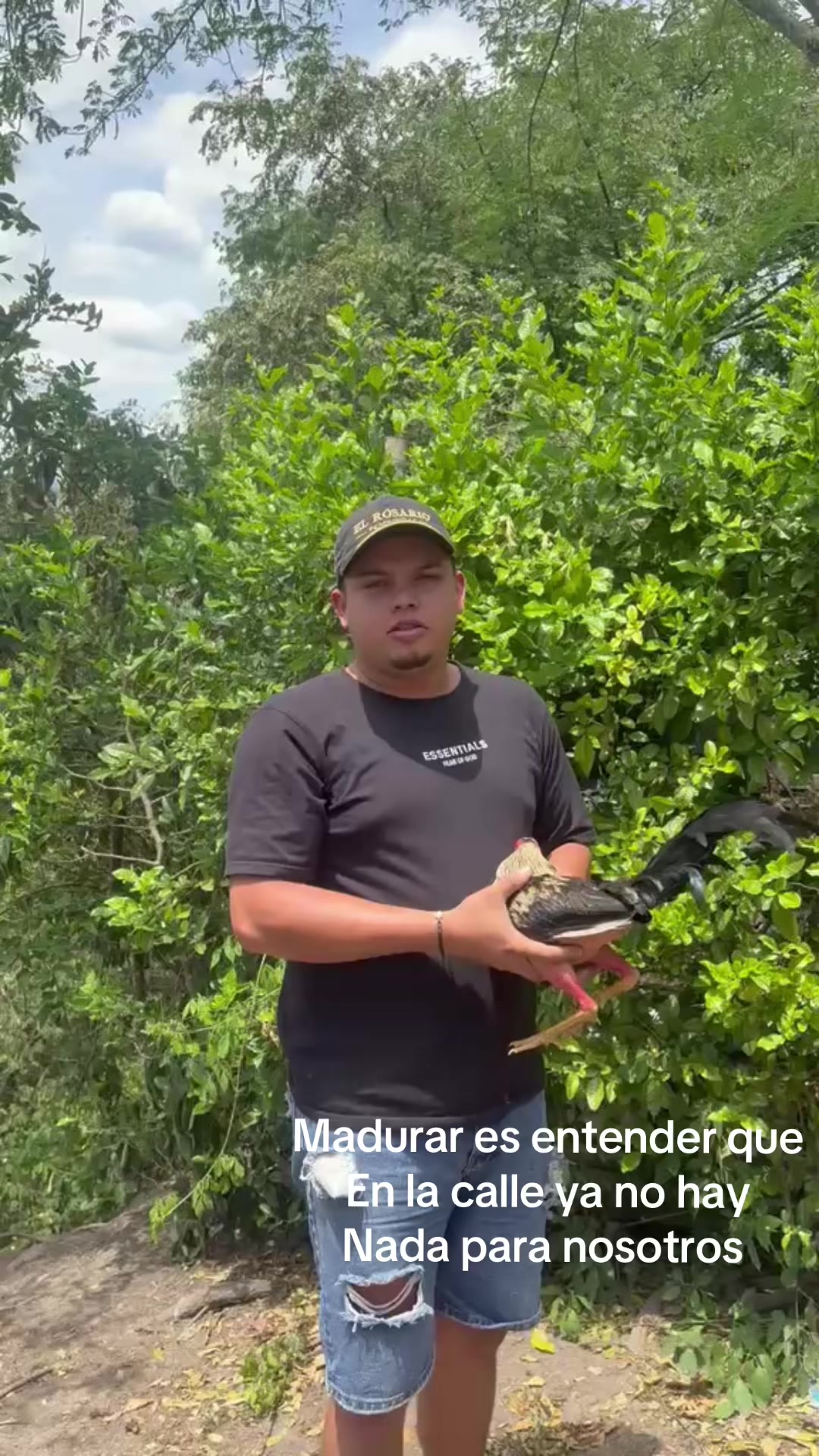 @Felipe Niño