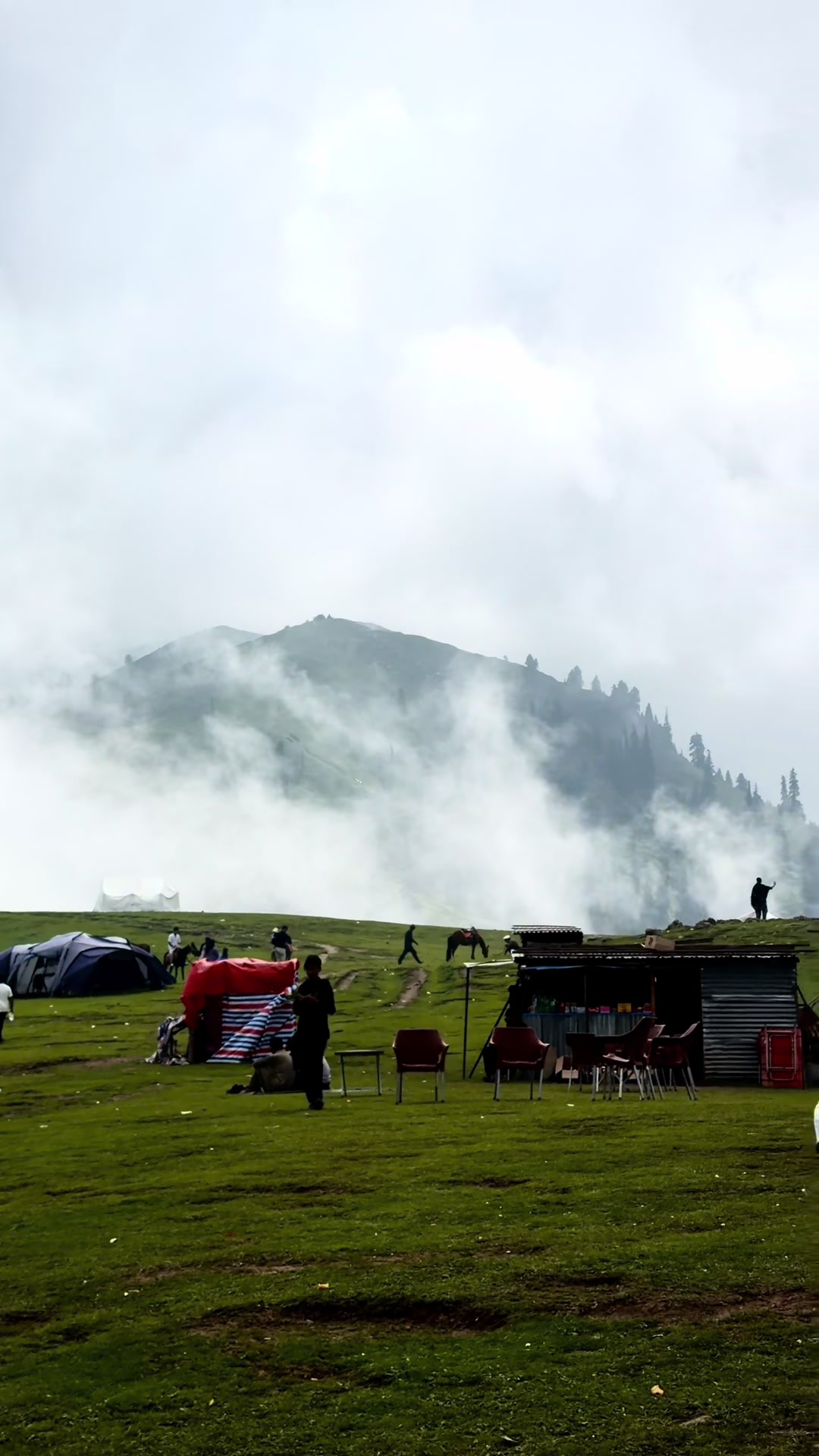 @Shogran Vibes