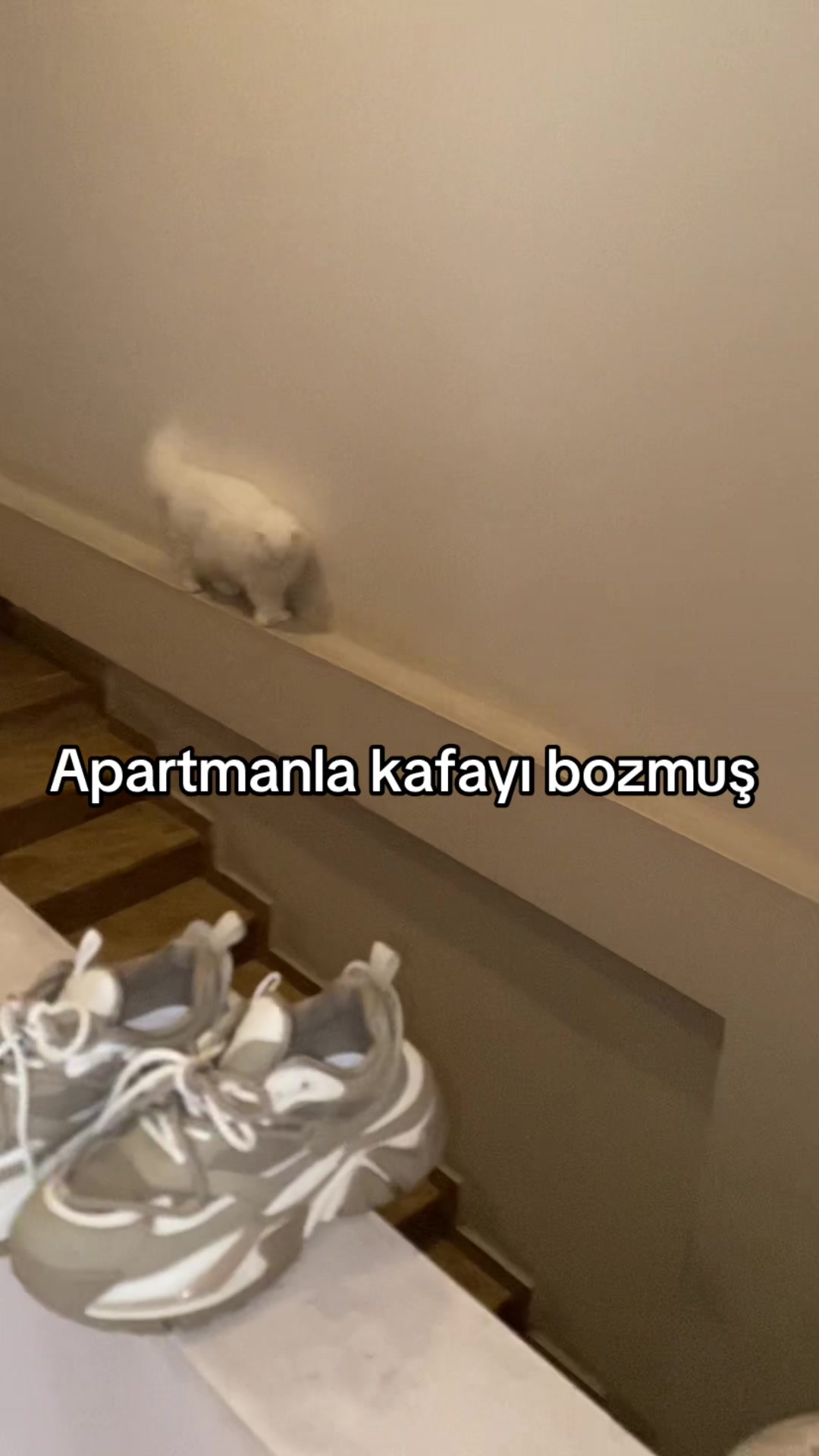 @yudummz_