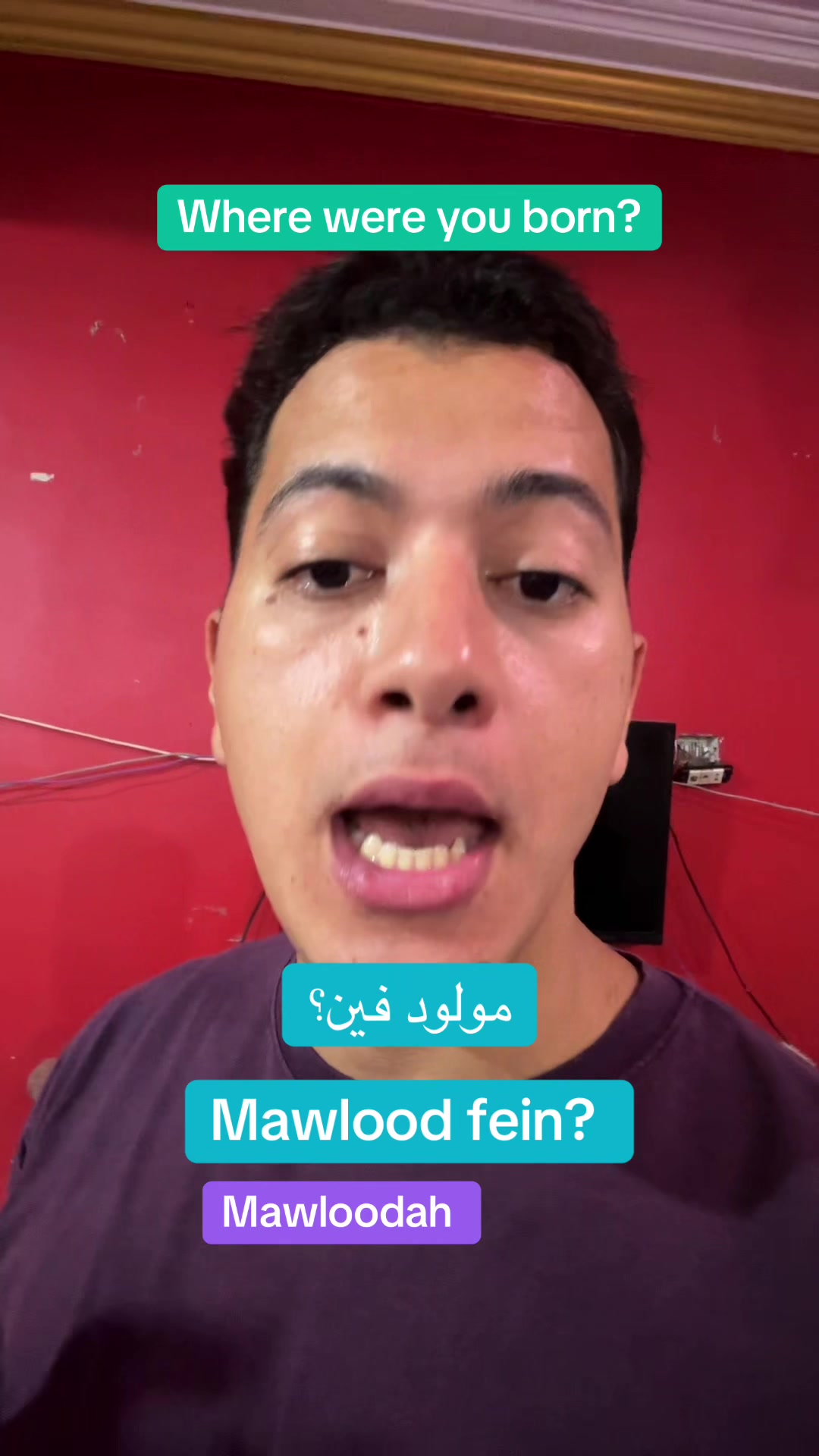 @speakarabi