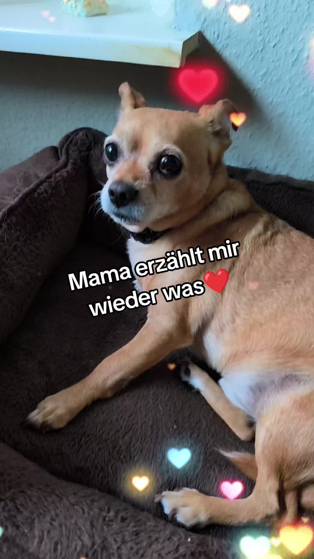 @❤️Kathi❤️Milow🐕❤️