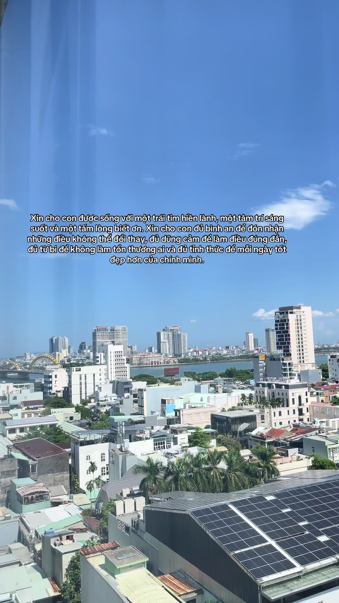 @Reels của Tình 🫧