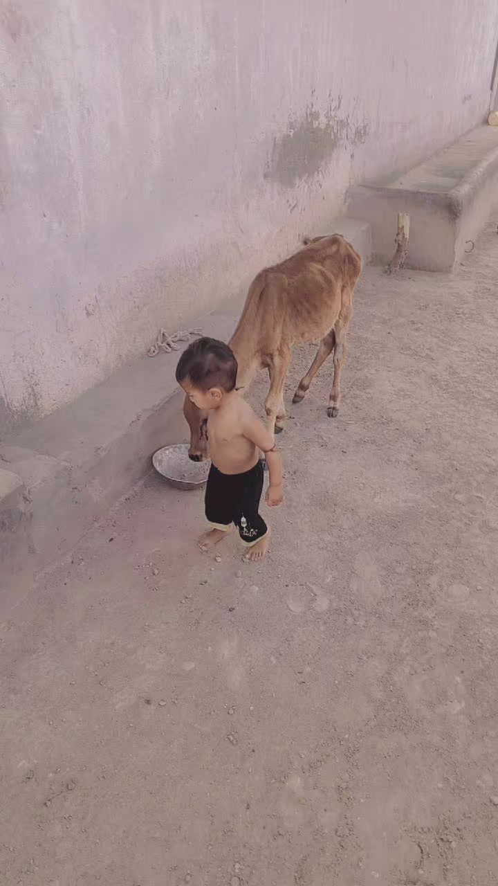 @Raja Moin