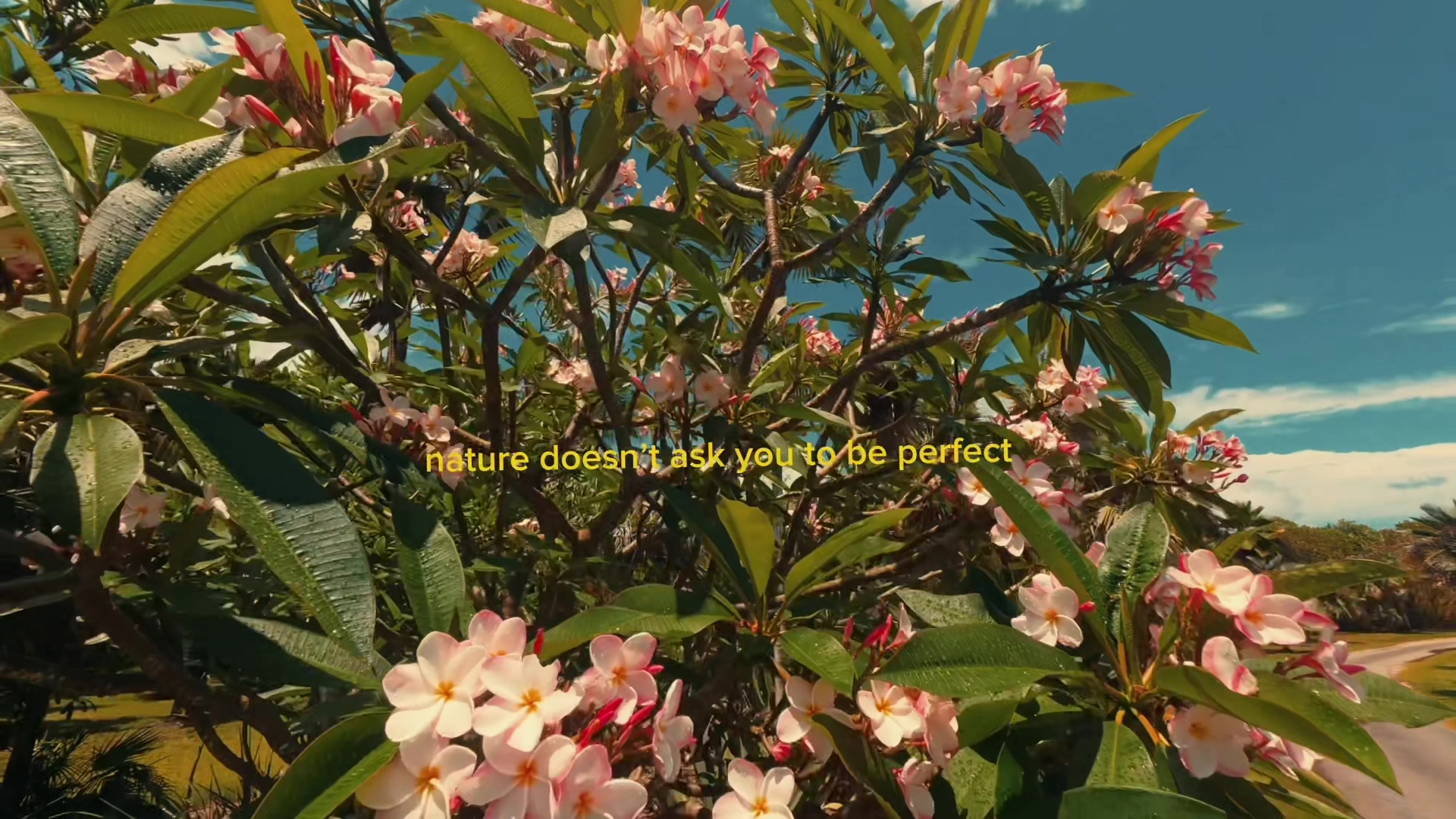 @𝑪𝒓𝒊𝒔𝒕𝒊𝒂𝒏 𝑩𝒓𝒆𝒂