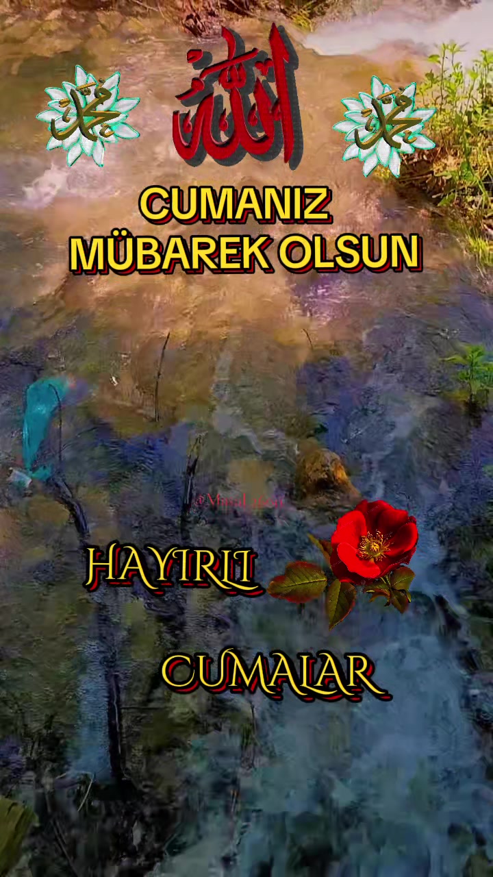 @Masal