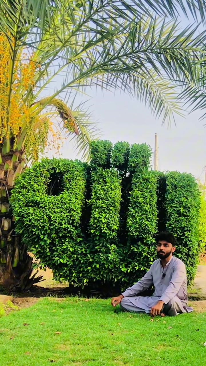 @سید دانش علی