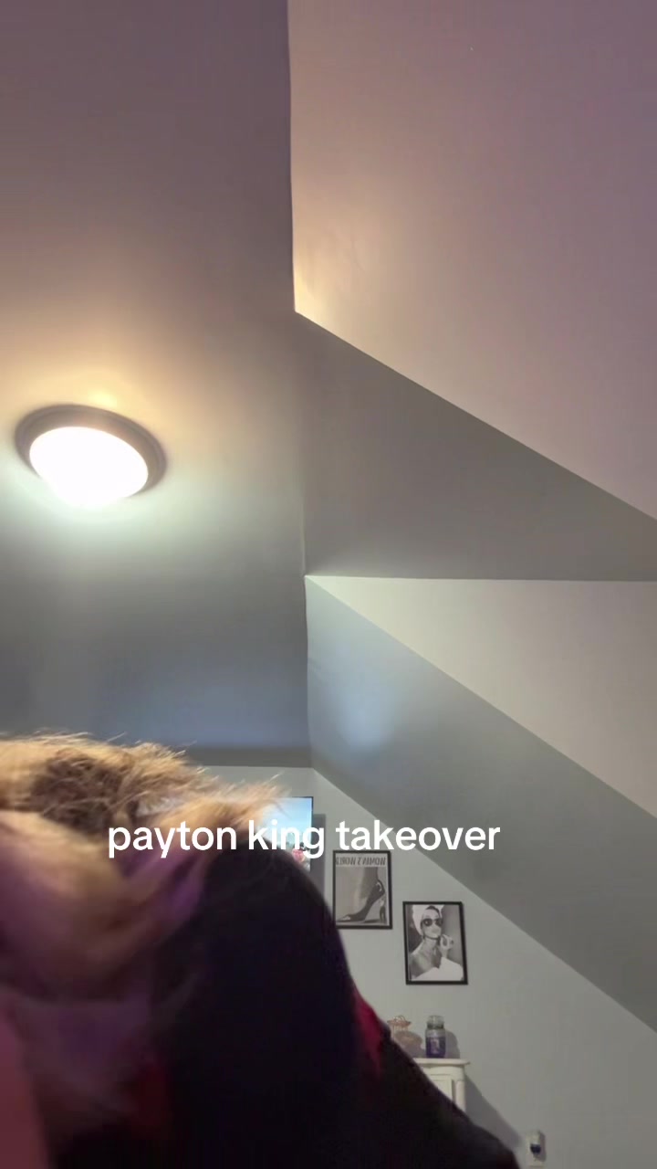 @gracieboo