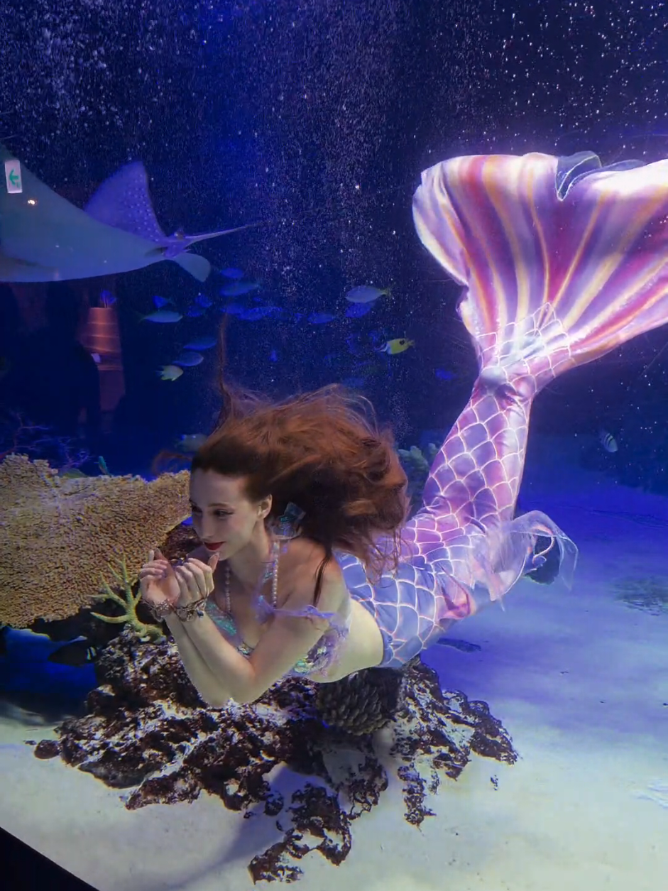 @아나스타샤 🪼 the mermaid