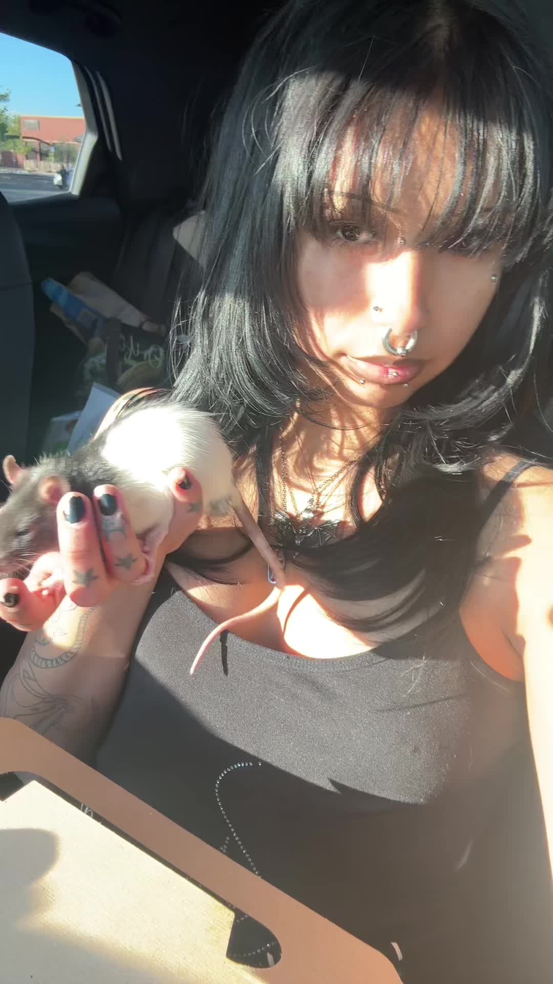 @🦇octavia🦇