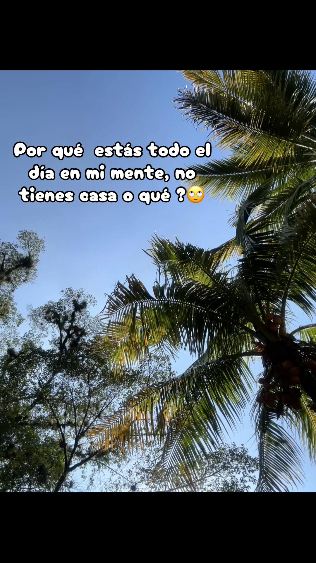 @Lorenza Castillo