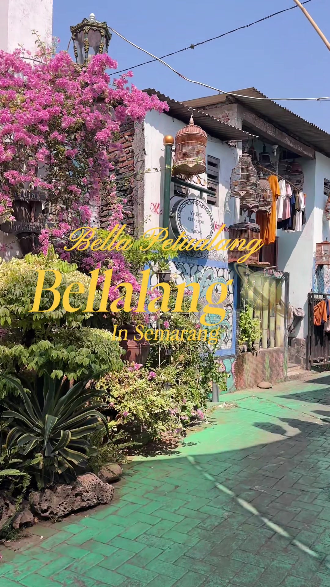 @Bella Graceva
