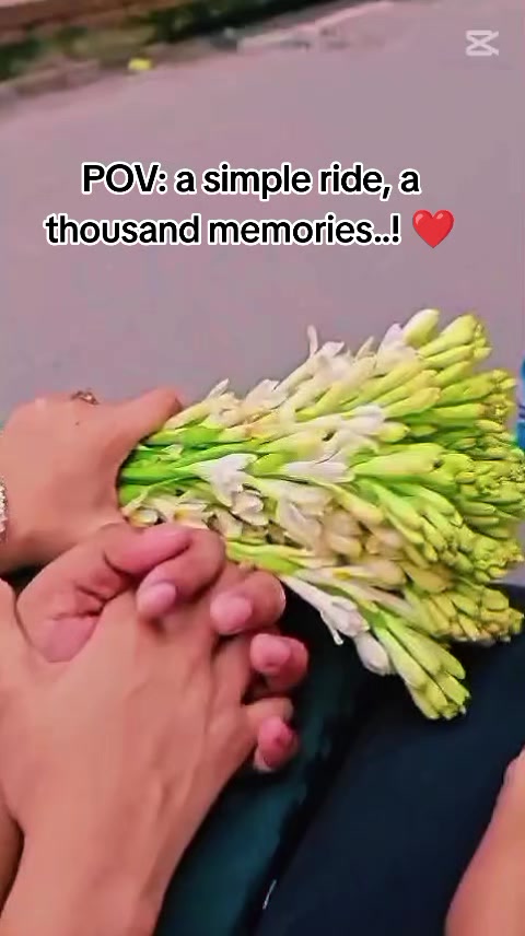 @Faru🌸🌿
