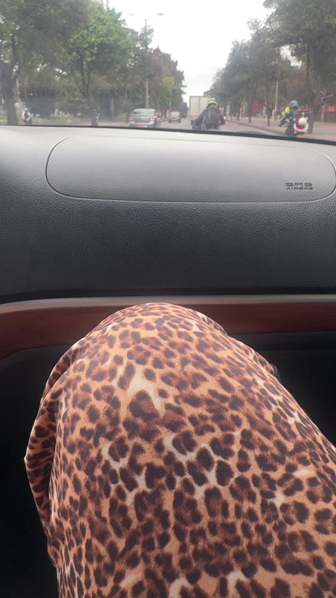 @sofiazafra