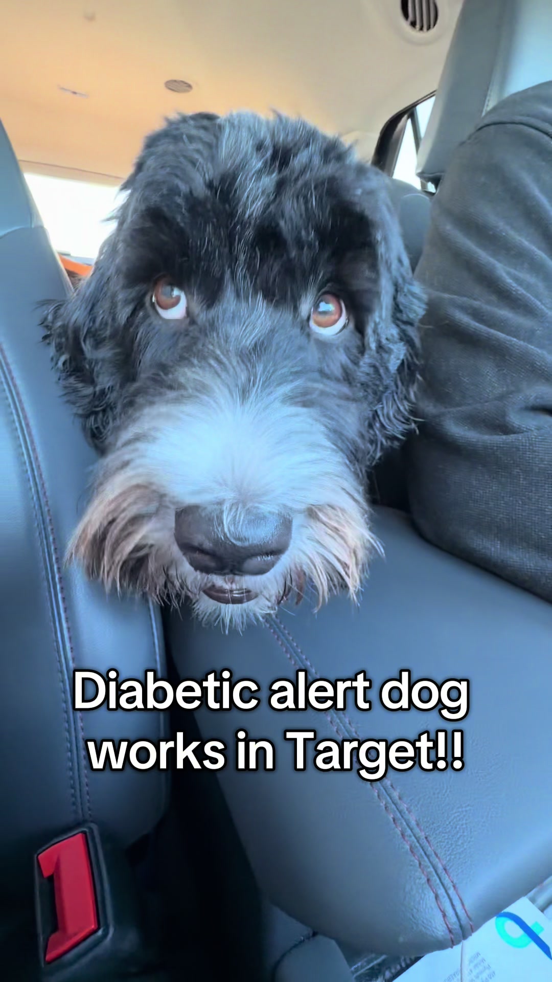 @Kennedy & Konas T1D Journey