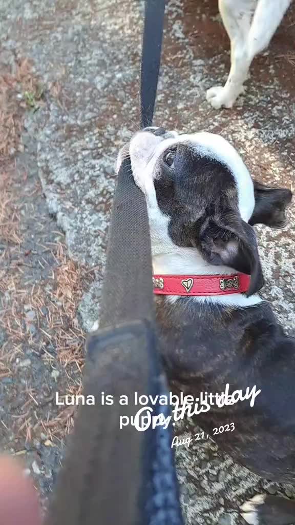 @Lunalovinlife🇨🇦