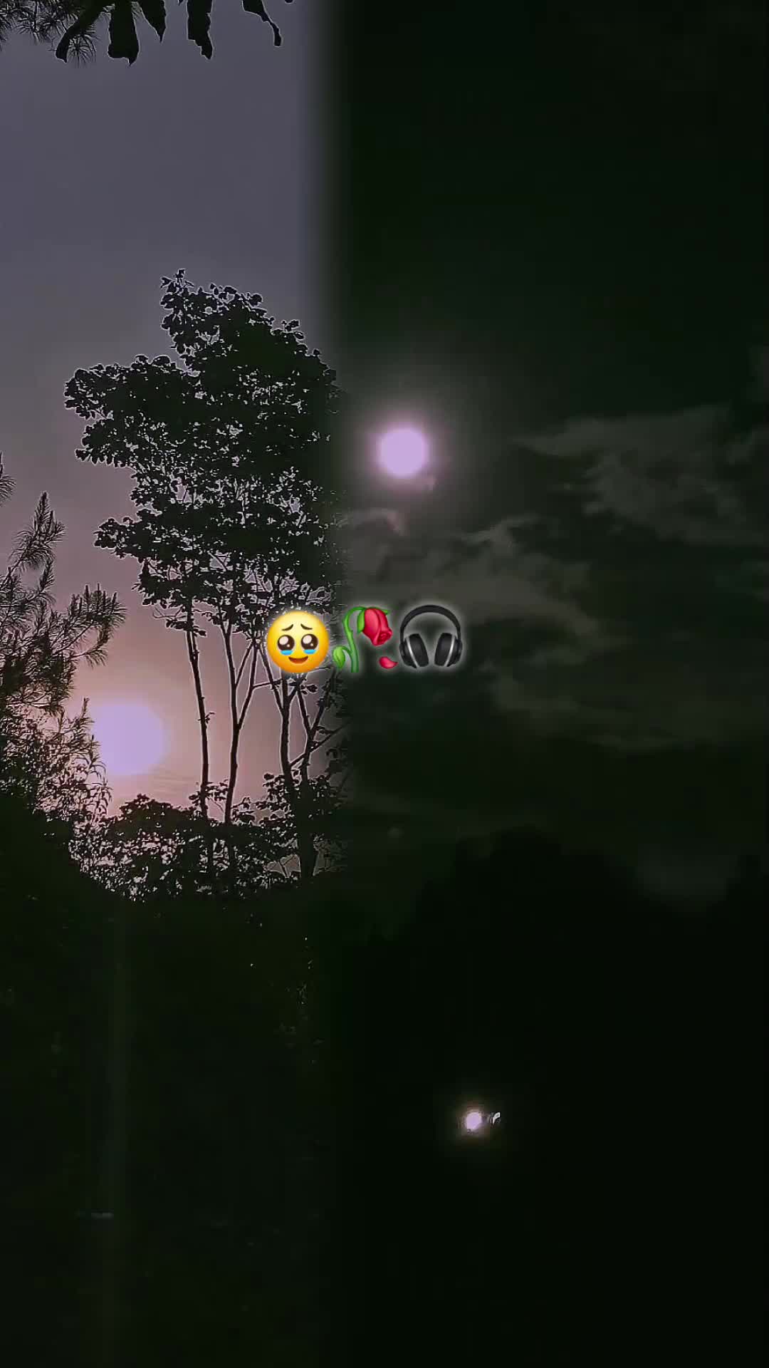 @( 🦝🧸🌟YAXCALITO🧔♂️🧃💗)