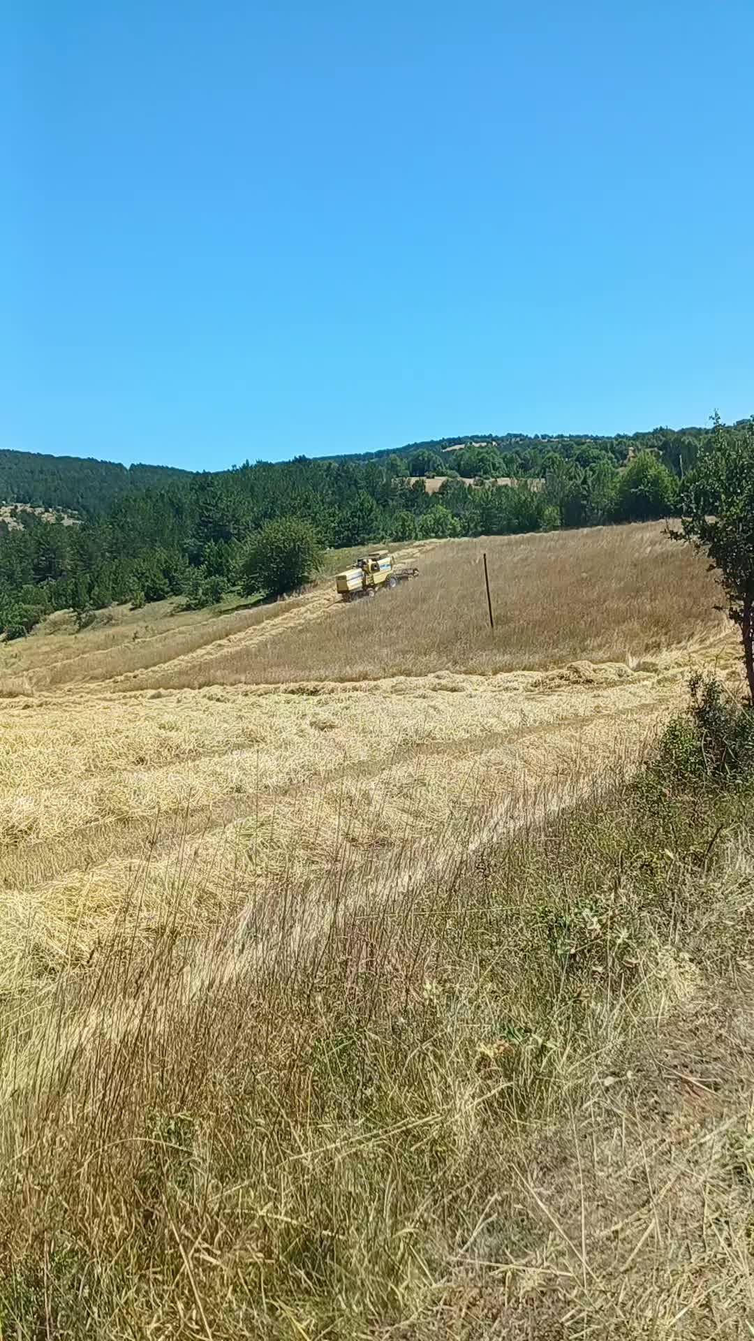 @Hilmi Öztürk