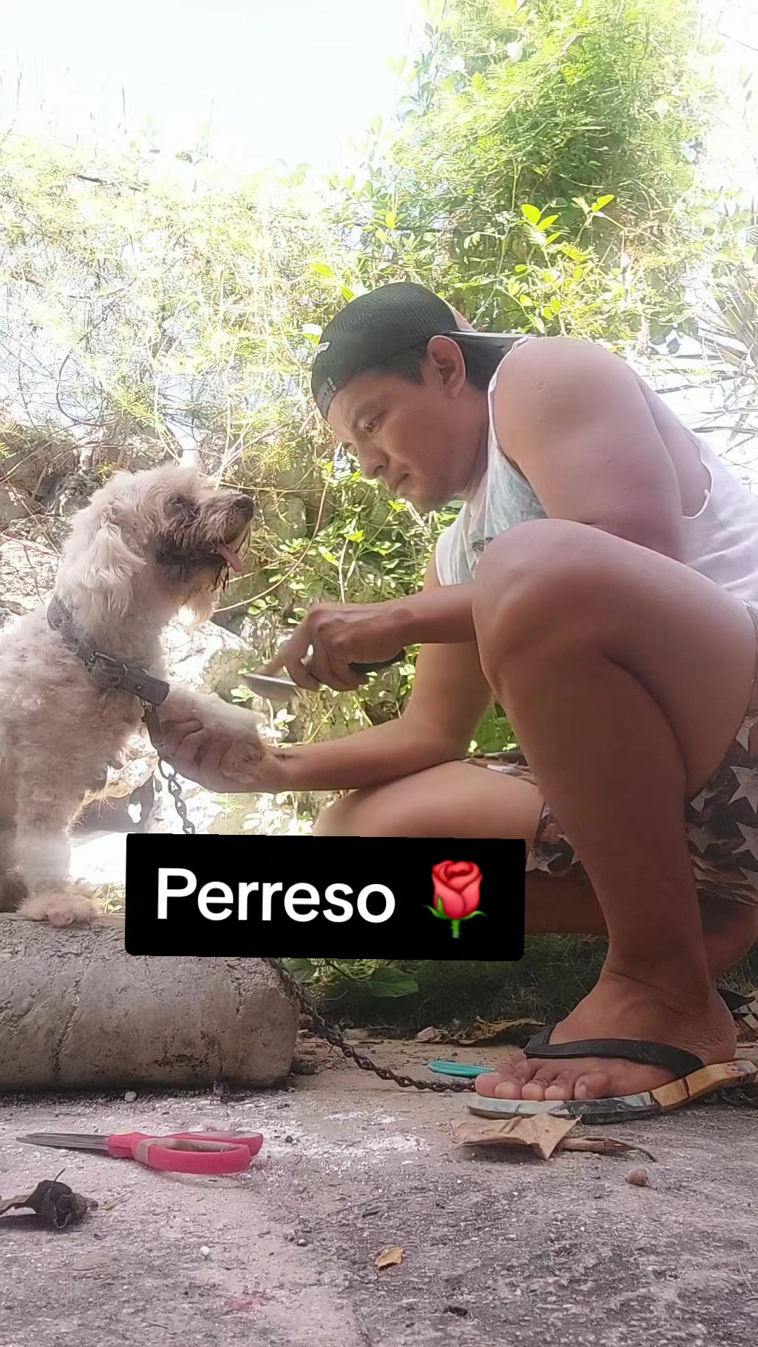 @May May