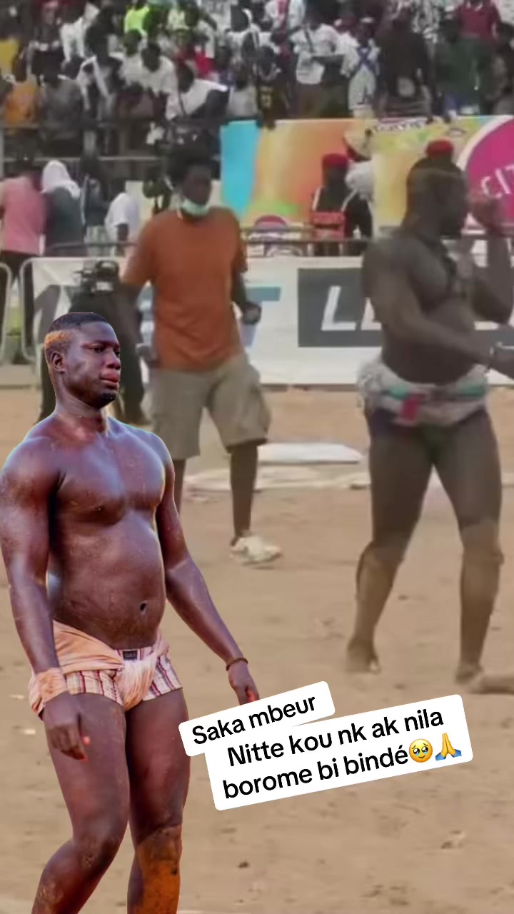 @papa.prcelles