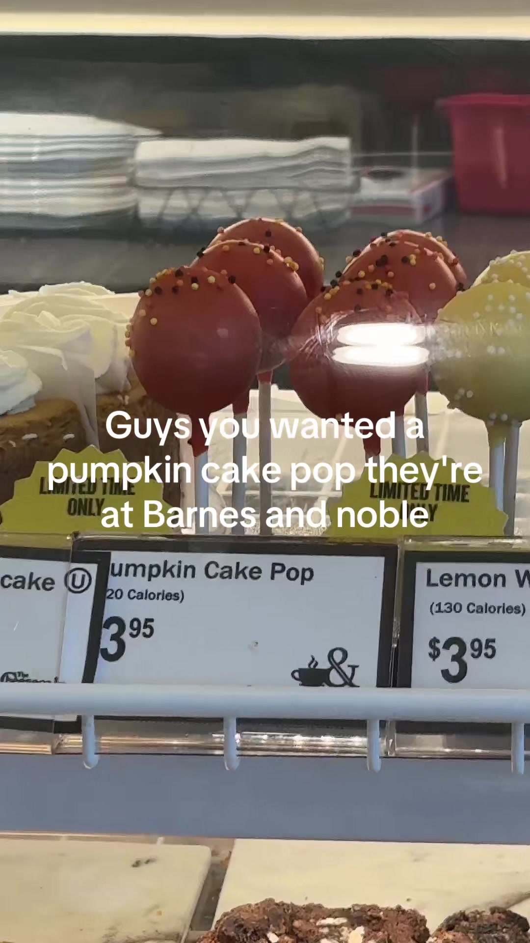 @Megan Palluccio