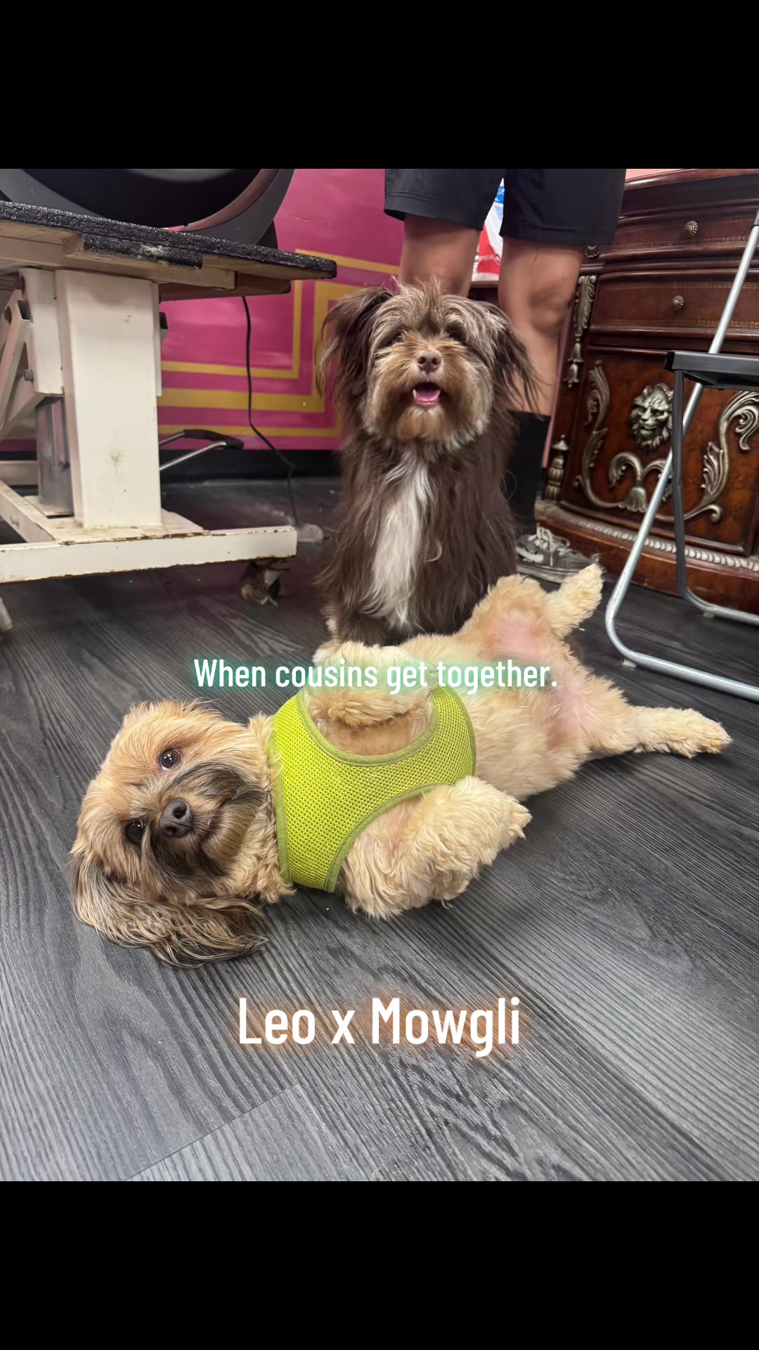 @Lala