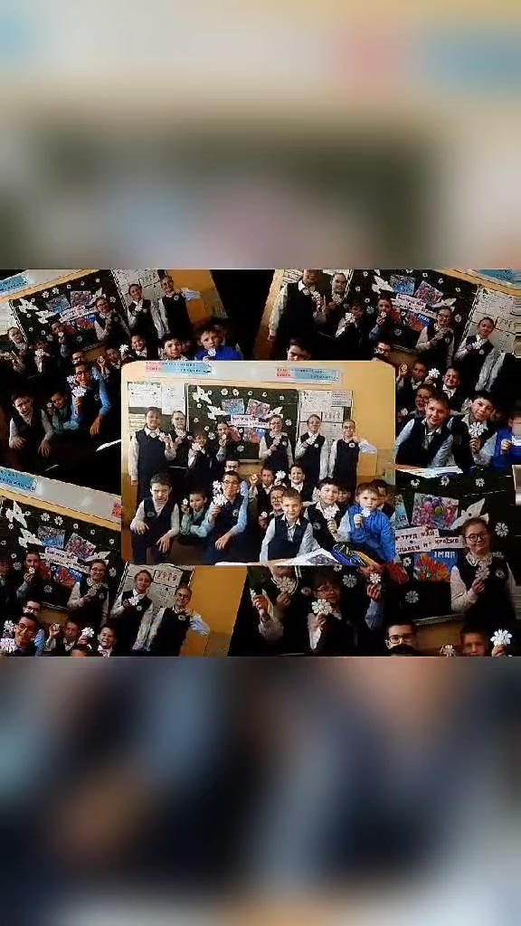 @school_8_bobr