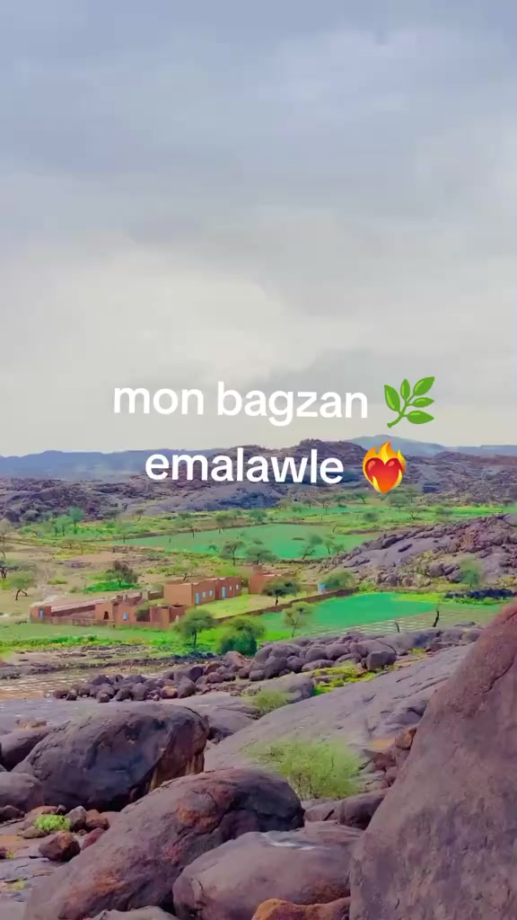 @Bagzani
