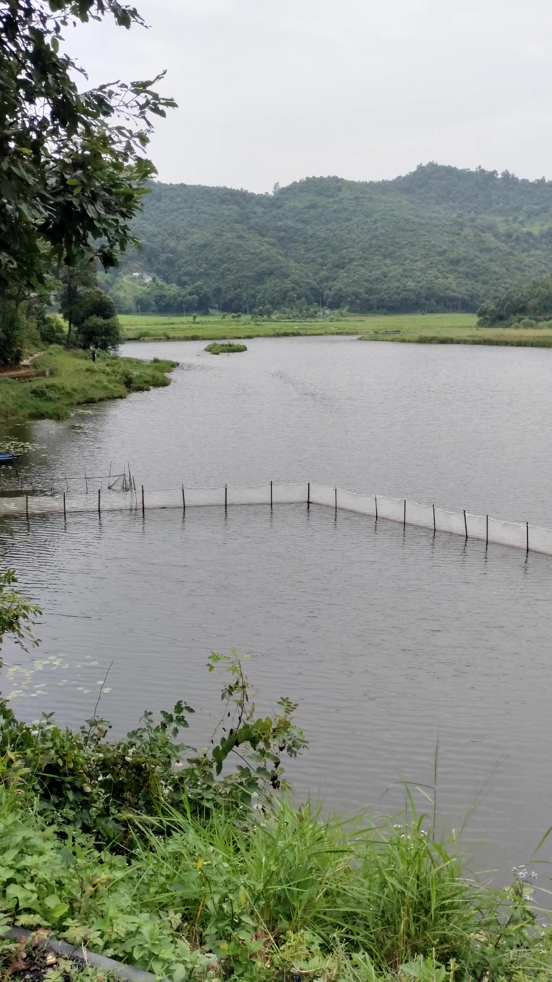 @गंगा कोईराला