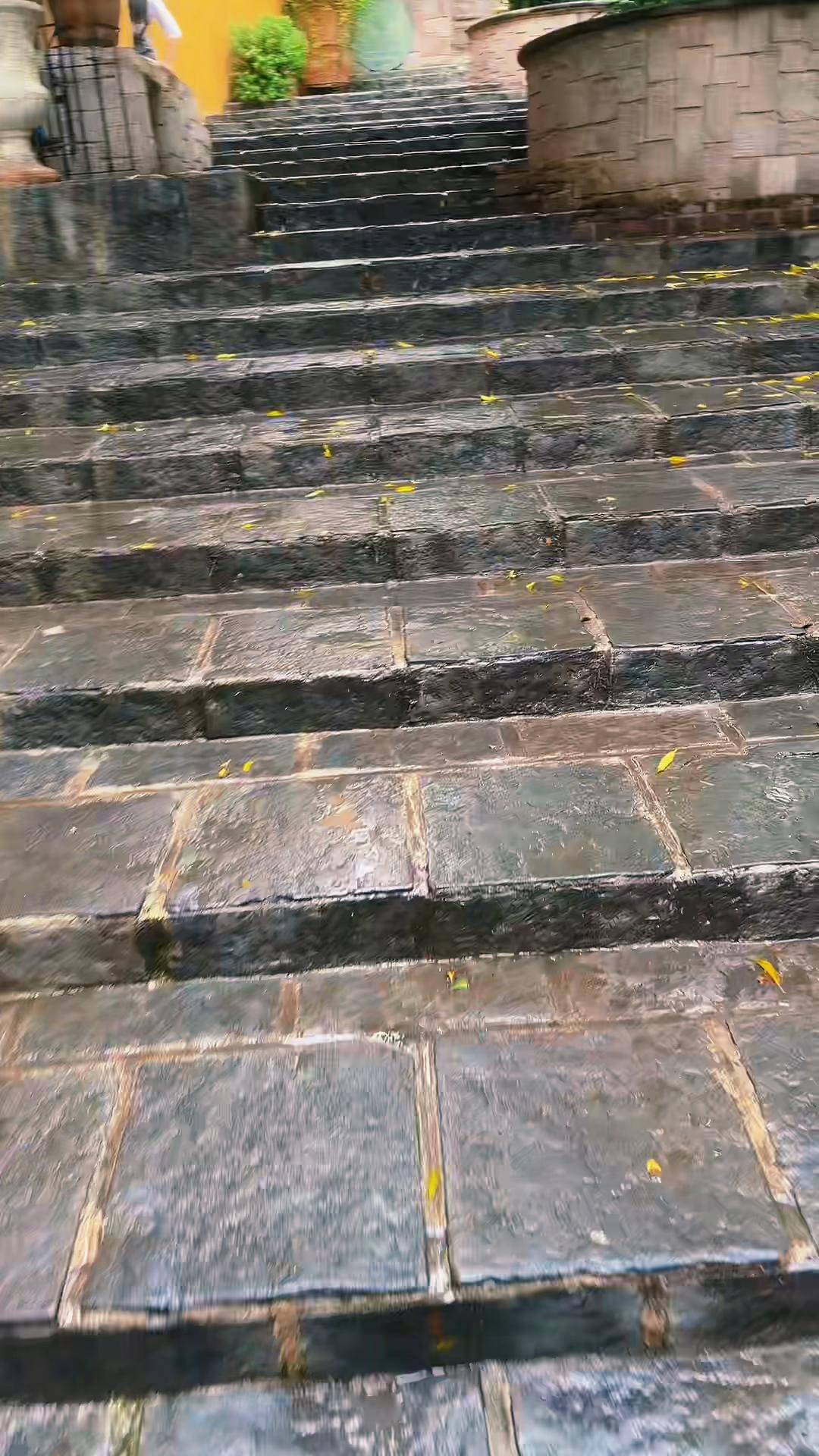 @Jaqui Pi&ntilde;a