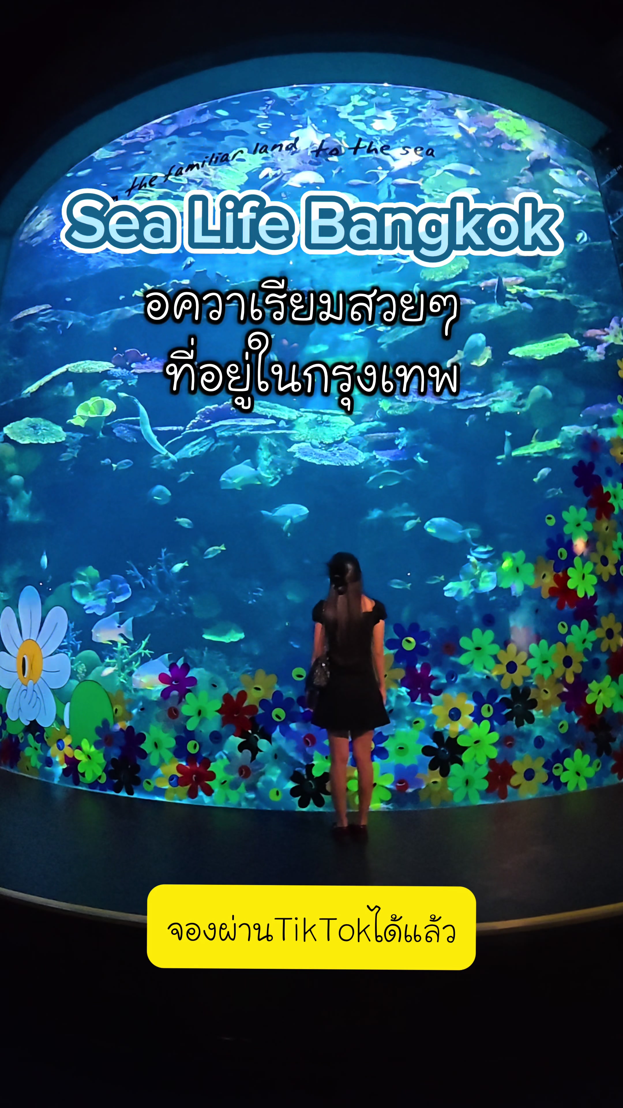 @I-May