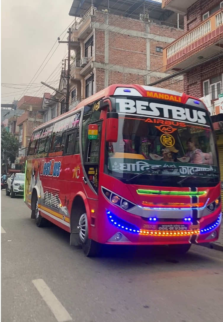 @bestbus5341