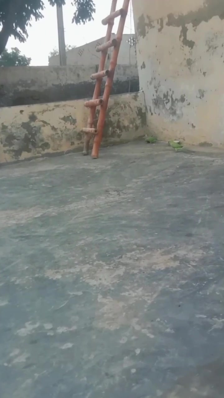 @Ali akbar Dogar