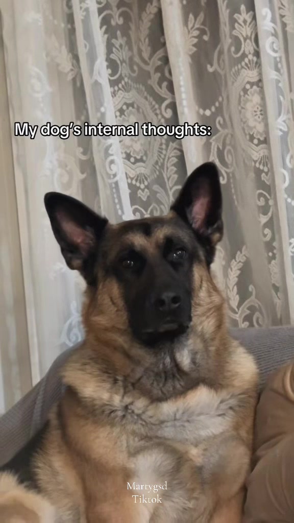 @Martygsd