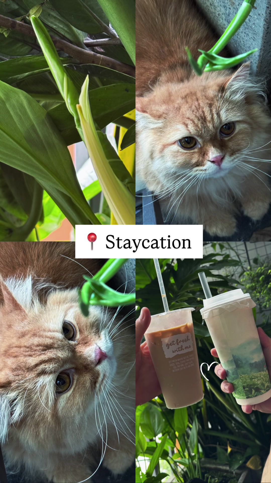 @Duy N&egrave; đ&atilde; chặn bạn