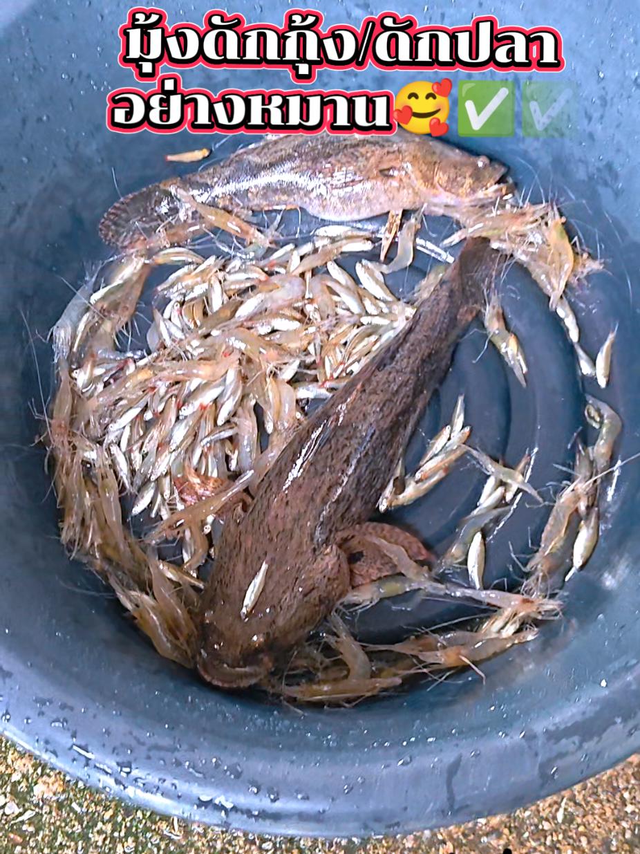 @ล่ำลือ ฟิชชิ่ง ขายทุกอย่าง🥳🎣