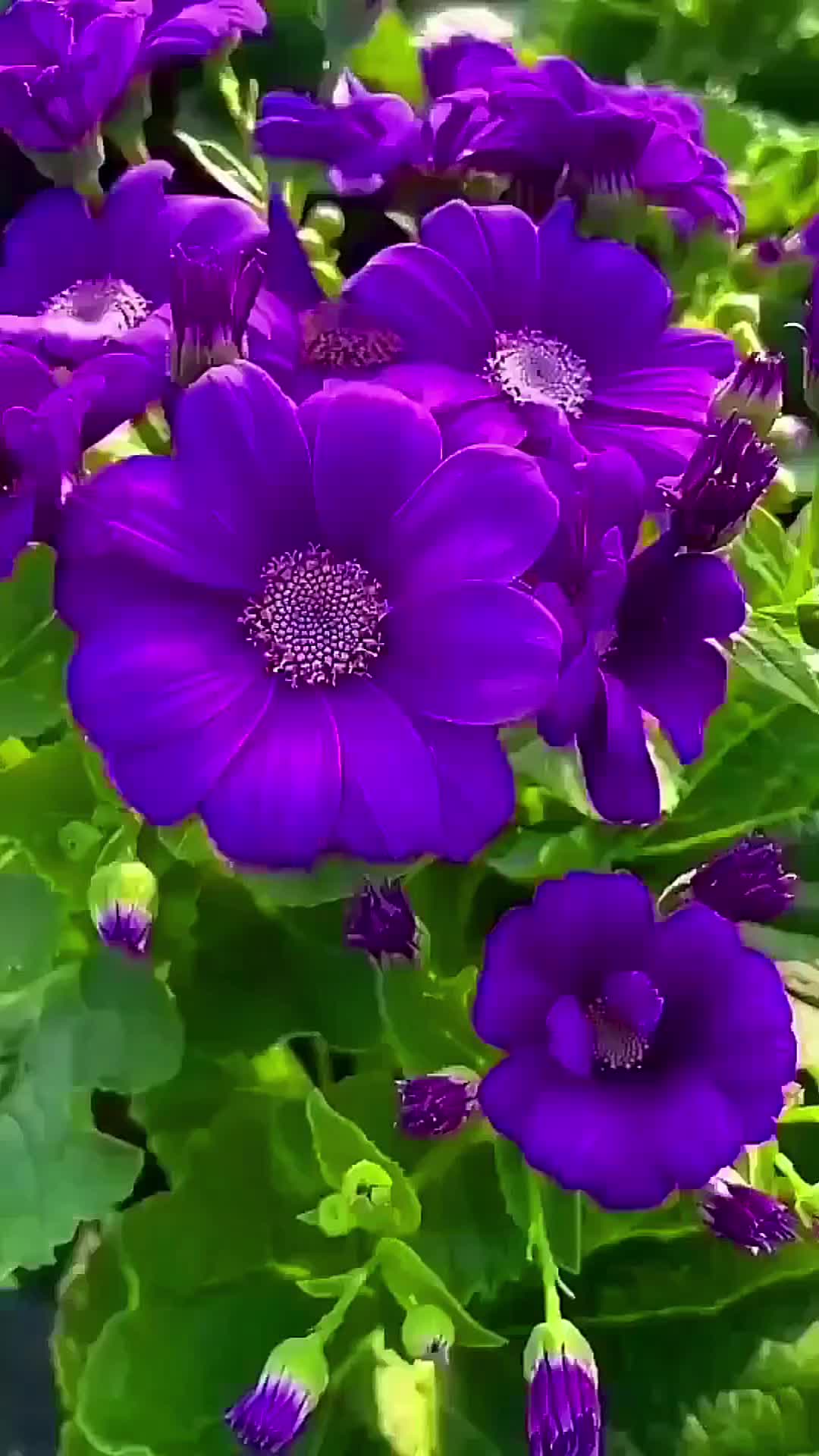 @Катя