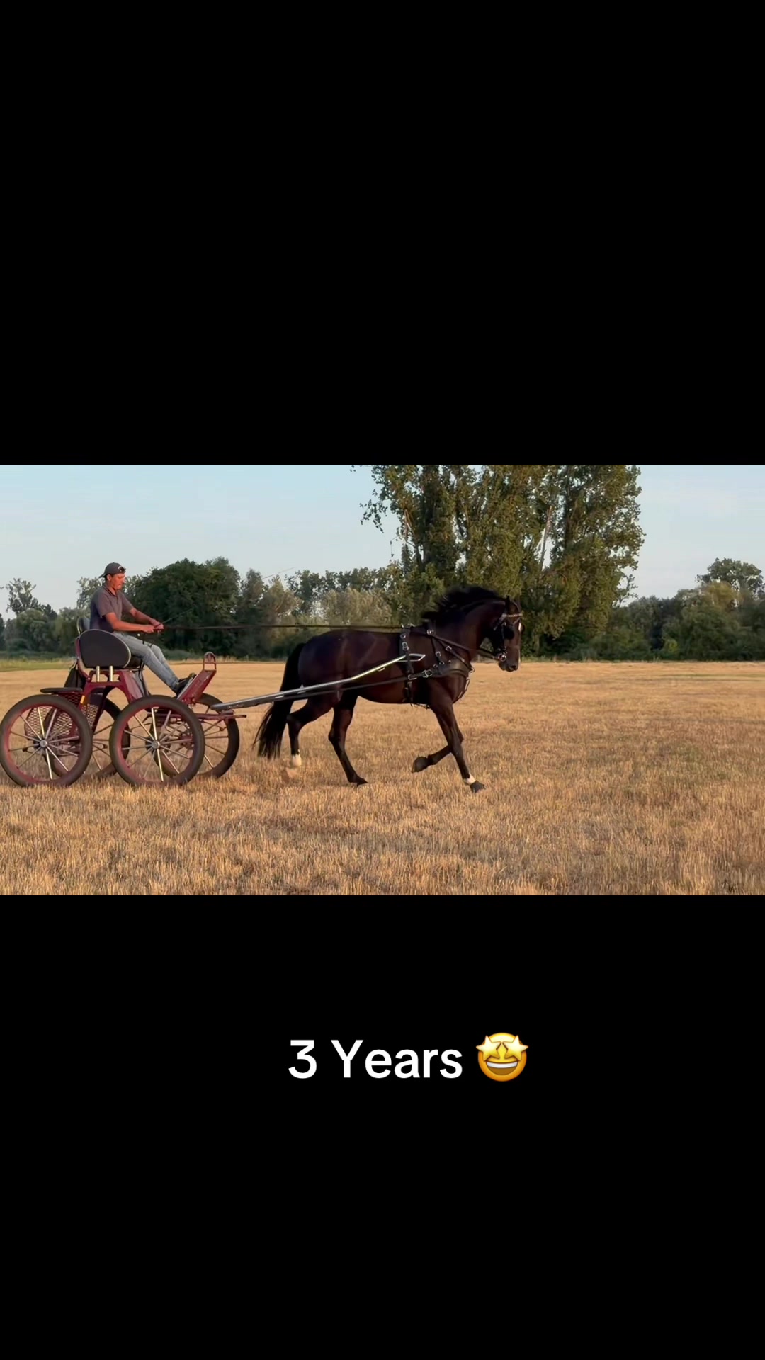 @Antal Szabi
