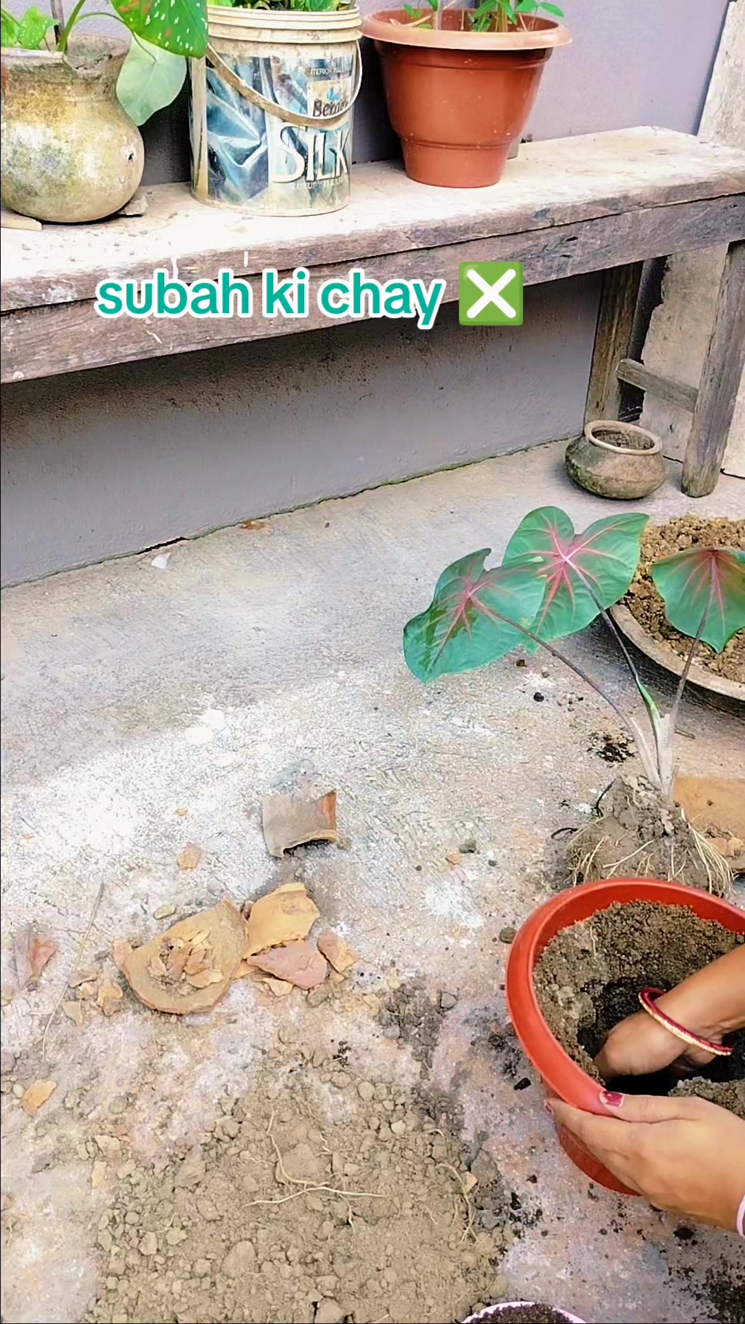@Guddy✨💫(Anaaya's mom)🧿