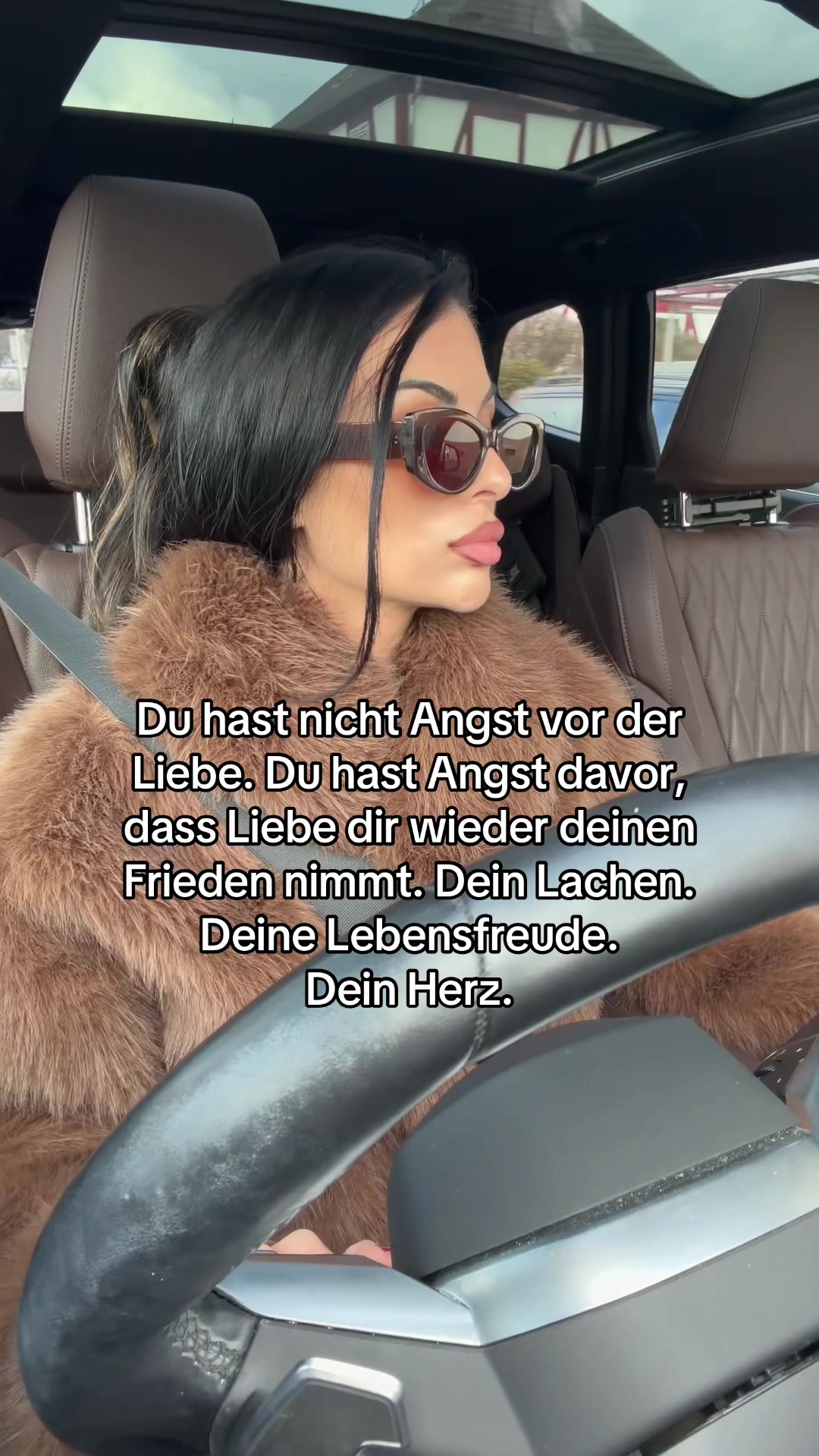 @vanessa lipatov