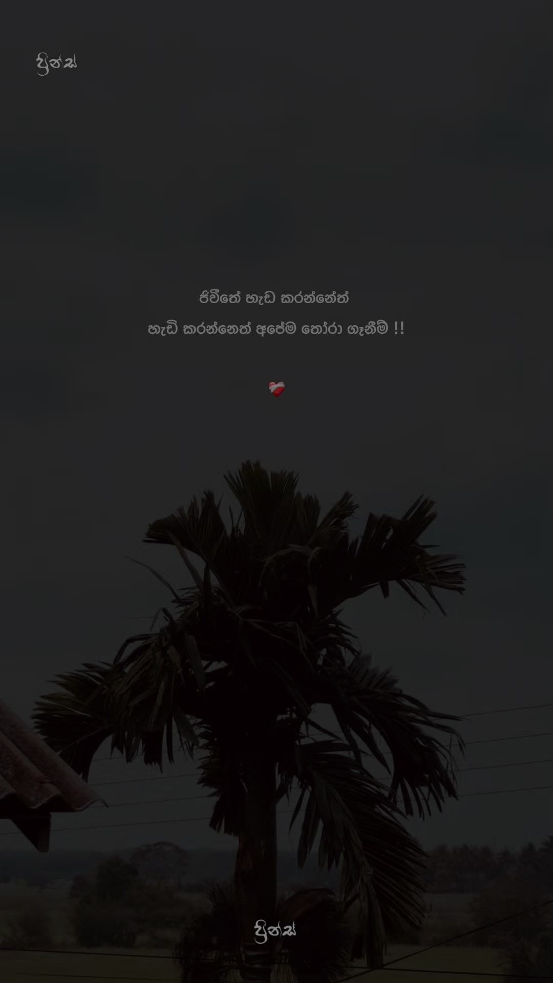 @๐ท๐น๐ฐ๐ต๐ช๐ฌ ๐งฟ