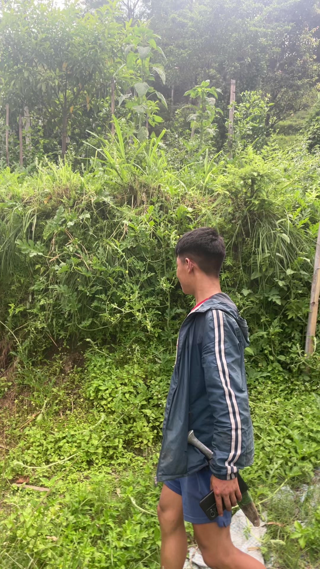 @नखावा कृषि(जय राई)