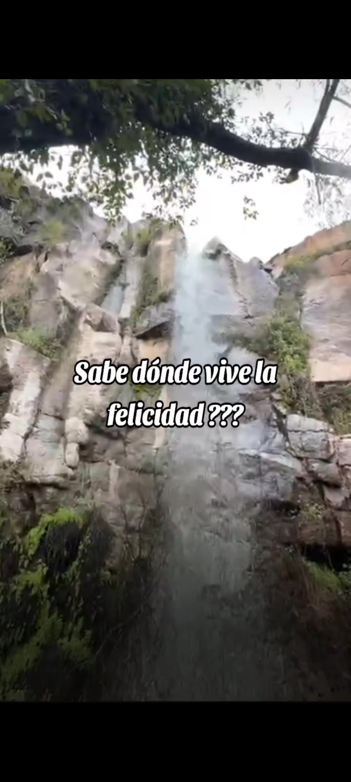 @Cereza🍒